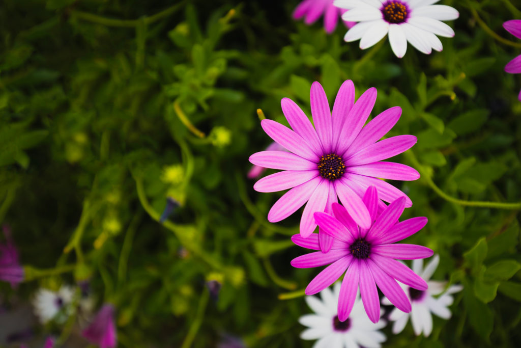 Test 2
