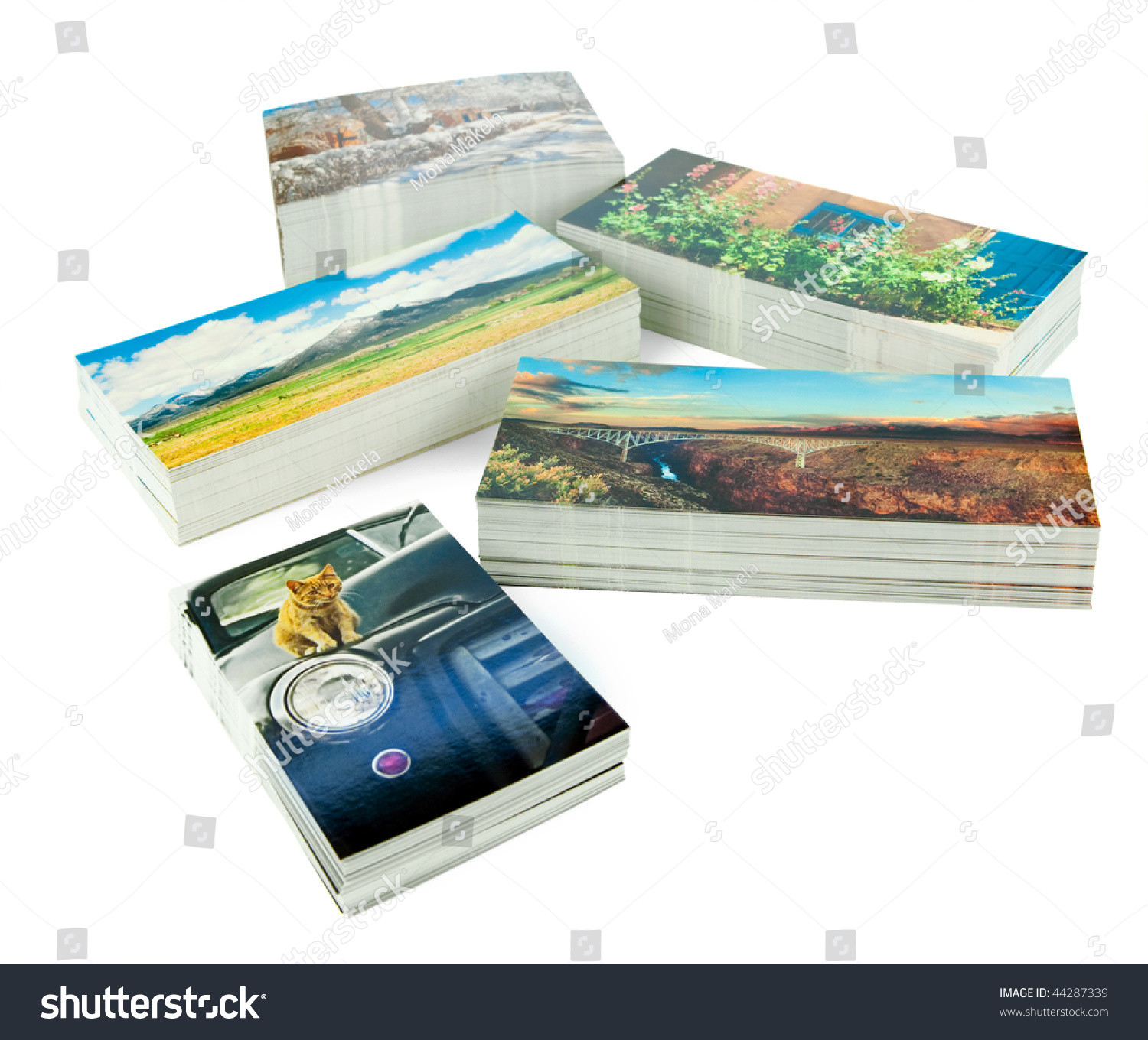 5 x 7 postcard
